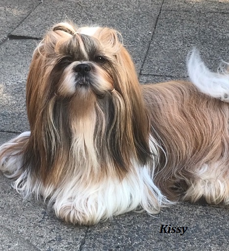 kissy