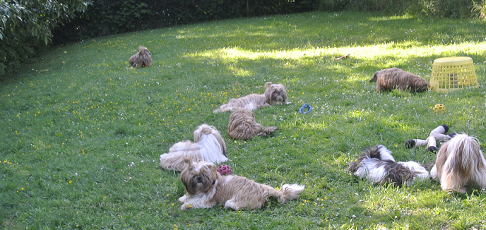lazy sunday