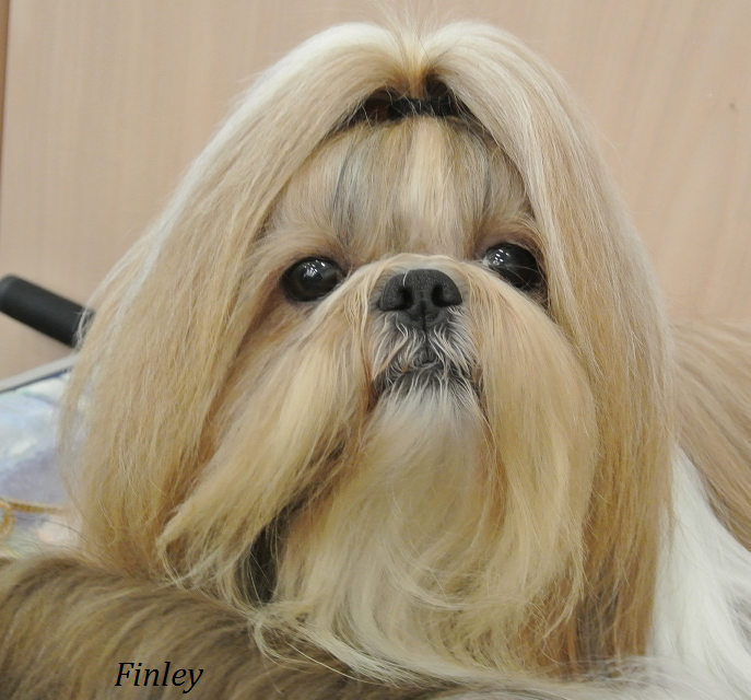 finley