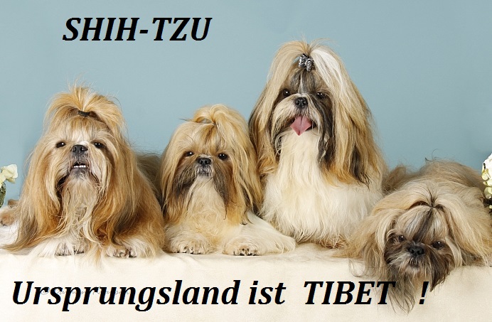 tibet
