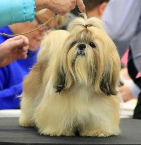 yukon