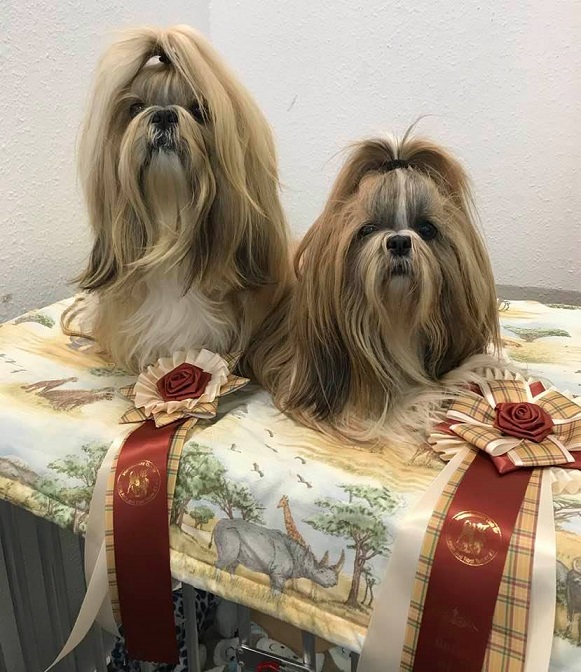 YukonKissy