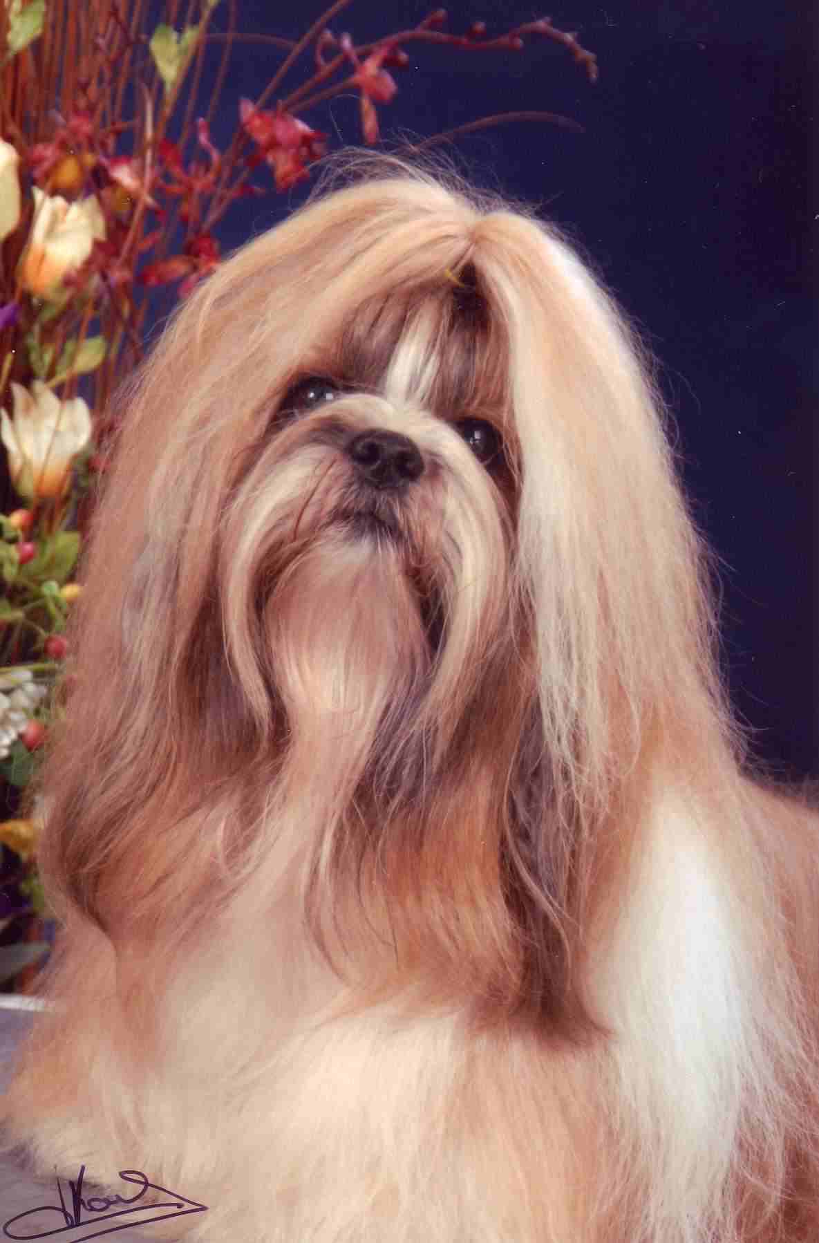 Magic Milton